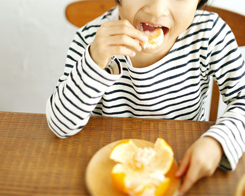 権兵衛さんの三ヶ日みかん 早生品種 5kg