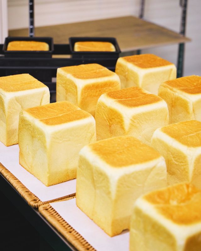 \【三ヶ日本店🏠金〜月数量限定】大好評！やさしいはちみつ生食パン🍞/

みなさま、こんにちは😊
今日は3月に登場して以来多くのお客様にご好評いただいている「やさしいはちみつ生食パン」のご紹介です♪

この生食パン、甘みは100%はちみつ由来なんです🍯
無添加で仕上げているためからだにとってもやさしく、極上のふわふわ食感を楽しんでいただけます😋

販売開始から約2ヶ月が経ち、多くのお客様から嬉しいお声をいただいているため、一部ご紹介いたします💁‍♀️

💬焼くとふわっふわになって歯応えもあって、はちみつかけるとじゅわっとなります。美味しいですね！
💬初めて買いました。車で味見したら1斤食べ終わってしまって…笑 明日の朝も子供達がこれがいい！ということでもう1斤買いにきました。
💬購入して食べたら 生でもしっとりとして風味豊かで美味しいし、焼くとまた香ばしいと思いました。

是非みなさまも一度お召し上がりくださいませ✨✨
三ヶ日本店にて金/土/日/月限定で11:00〜販売しております🥰

6月から生食パンの新フレーバーも登場いたします！続報お楽しみに😋

今日もぬくもりある素敵な1日になりますように♪
BEE HAPPY💫

- - - - - - - - - - - - - - - - - - - - - -
🏡長坂養蜂場 三ヶ日本店 @nagasaka_apiary
📍静岡県浜松市浜名区三ヶ日町下尾奈97-1
🈺午前9：30〜午後5：00
📆毎週水曜・第2火曜定休
🅿️無料80台分あり
- - - - - - - - - - - - - - - - - - - - - -
・
・
#長坂養蜂場 #養蜂場 #静岡 #浜松 #はままつ #三ヶ日 #浜名湖 #奥浜名湖 #はちみつ専門店 #はちみつ #蜂蜜 #ハチミツ #ミツバチ #浜松スイーツ #はちみつ食パン #やさしいはちみつ生食パン #食パン #生食パン #はちみつのある暮らし #apiary