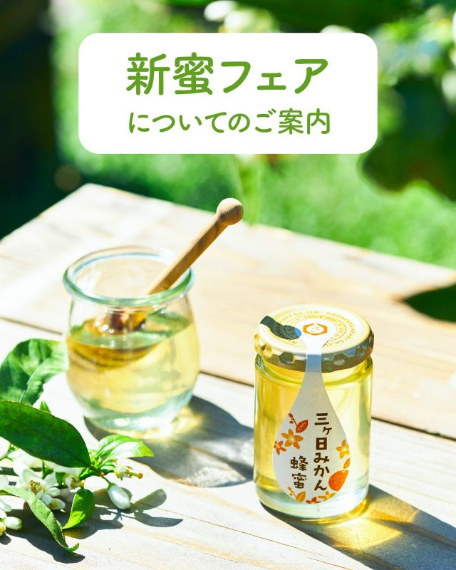 \新蜜フェアについてのご案内/

みなさま、こんにちは😊
本日は新蜜フェアについてのお知らせです。

本来でしたら新蜜フェアを5/10(土)〜開催させていただく予定でしたが、現在三ヶ日みかんの花の開花に遅れが見られるため、フェアの開始日が変更となります。
楽しみにしてくださっていたみなさま、大変申し訳ございません🙇‍♀️

今年もみなさまに新蜜を楽しんでいただけるよう、養蜂家が現在採蜜を行っておりますので、もうしばらくお待ちくださいませ✨
新蜜フェア開始のお日にちが決まりましたら改めてご案内させていただきます😊

今日もぬくもりある素敵な1日になりますように。
BEE HAPPY💫

- - - - - - - - - - - - - - - - - - - - - -
🏡長坂養蜂場 三ヶ日本店 @nagasaka_apiary
📍静岡県浜松市浜名区三ヶ日町下尾奈97-1
🈺午前9：30〜午後5：00
📆毎週水曜・第2火曜定休
🅿️無料80台分あり
- - - - - - - - - - - - - - - - - - - - - -
・
・
#長坂養蜂場 #養蜂場 #静岡 #浜松 #はままつ #三ヶ日 #浜名湖 #奥浜名湖 #はちみつ専門店 #はちみつ #蜂蜜 #ハチミツ #ミツバチ #浜松スイーツ #はちみつのある暮らし #apiary