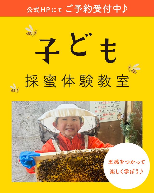\【受付スタート📣】ここでしかできない体験を！子ども採蜜体験教室🐝✨/

みなさま、こんにちは😊
そろそろ夏休みの予定を計画される方も多いのではないでしょうか？🌻

そこで今回は、長坂養蜂場でしか体験できない！毎年大人気の特別なお子さま向け教室のご案内です👦👧

その名も「子ども採蜜体験教室」🍯
毎年たくさんの予約をいただき、急遽開催数を増やすほど人気の教室です！

クイズを交えながらミツバチの生態やはちみつの大切さを学んだり、実際に採蜜体験をして養蜂家の仕事を体感したり、最後には採れたてのはちみつをパンケーキにかけて味わったり...内容は盛りだくさんです😊✨✨

体験を通してミツバチや自然の恵みを五感を使って学び、子どもたちにいのちの大切さを知ってもらうことを大切にしています💛

参加されたお子さんのなかには実際にこの体験がきっかけで養蜂の仕事を志す子も。
「僕もミツバチのように家族を守れるような強い人になりたい」などと伝えてくれるお子さんもいます。

ここでしかできない特別な体験をしてみませんか？
詳細は長坂養蜂場ホームページをご覧ください💁‍♀️
予約はすぐに埋まってしまう可能性がございますので、お早めにご検討くださいませ🙇‍♀️

※この教室は小学生のお子様を対象としております。ご了承くださいませ。

それでは、今日もぬくもりある素敵な一日になりますように😌
BEE HAPPY💫

- - - - - - - - - - - - - - - - - - - - -

🏡 長坂養蜂場 三ヶ日本店 @nagasaka_apiary
📍 静岡県浜松市浜名三ヶ日町下尾奈97-1
🈺 午前9：30～午後5：00
📆 毎週水曜・第2火曜定休
🅿️ 無料80台分あり

- - - - - - - - - - - - - - - - - - - - -
.
.
#長坂養蜂場 #養蜂場 #静岡 #浜松 #はままつ #三ヶ日 #浜名湖 #奥浜名湖駅 #はちみつ専門店 #はちみつ #蜂蜜 #ハチミツ #ミツバチ #浜松旅行 #浜松グルメ #浜松スイーツ #浜松土産 #浜松みやげ #浜松お土産 #健康食 #はちみつのある暮らし #apiary #honeyshop #honey #採蜜 #子ども採蜜体験教室