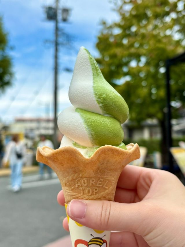 \【終了間近！】日本茶専門店「きみくら」さんとのコラボは9/28(日)まで📣/

みなさま、こんにちは😊
最近は秋らしさを感じる日も増えてきましたね🍂

さて、今回は9/28(日)まで開催している日本茶「きみくら」さんとのコラボイベントの最終のご案内です🍵
きみくらさんとのコラボ商品の販売は9/28(日)までの限定となっております💨

「ぶんぶんのはちみつ抹茶プリン」や「はちみつと抹茶のチーズケーキ」など抹茶好きの方にはたまらないラインナップです✨✨
大人気「はちみつ抹茶ソフト」や「はちみつ抹茶ラテ」などテイクアウト商品も充実しております💛

「はちみつ抹茶ソフト」のミックス(抹茶×ミルク)は一度に2つの味を楽しめて、見た目もめちゃくちゃかわいいんですよ〜👀

9/28(日)までの限定商品ですので是非お早めに💨💨

今日もぬくもりある素敵な一日になりますように😌
BEE HAPPY💫

- - - - - - - - - - - - - - - - - - - - -

🏡 長坂養蜂場 三ヶ日本店 @nagasaka_apiary
📍 静岡県浜松市浜名三ヶ日町下尾奈97-1
🈺 午前9：30～午後5：00
📆 毎週水曜・第2火曜定休
🅿️ 無料80台分あり

- - - - - - - - - - - - - - - - - - - - -
.
.
#長坂養蜂場 #養蜂場 #静岡 #浜松 #はままつ #三ヶ日 #浜名湖 #奥浜名湖駅 #はちみつ専門店 #はちみつ #蜂蜜 #ハチミツ #ミツバチ #浜松旅行 #浜松グルメ #浜松スイーツ #浜松土産 #浜松みやげ #浜松お土産 #健康食 #はちみつのある暮らし #apiary #honeyshop #honey #日本茶きみくら #ぶんぶんのはちみつ抹茶プリン #はちみつと抹茶のチーズケーキ #はちみつ抹茶ソフト #はちみつ抹茶ラテ