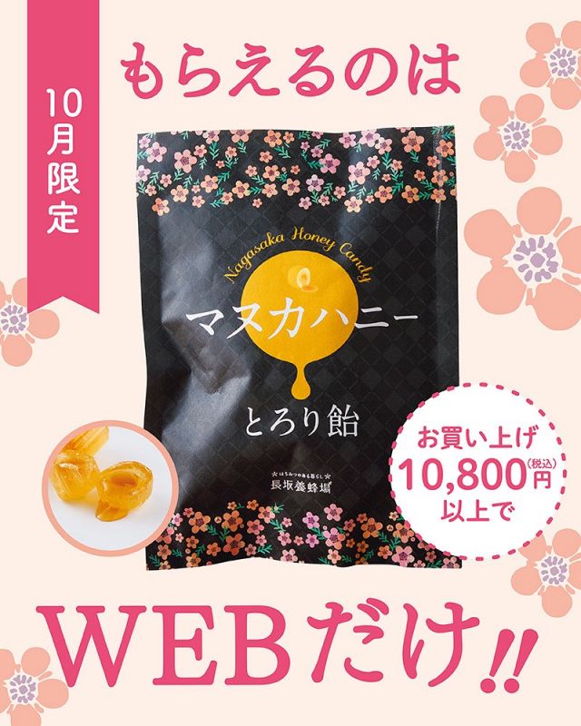 \10月WEB購入特典のお知らせ📣/

毎月お楽しみいただいているWEB購入特典、10月はこちらです👇

✨10,800円(税込)以上ご購入で✨
大人気「マヌカハニーとろり飴」1袋プレゼント！

"奇跡のはちみつ"マヌカハニーが中からとろ～り🍯
携帯できる飴だから、体調を崩しやすい季節の心強い"お守り"です。

さらに！気になった方必見！👀🌟
下記のタイムセール期間中はお得に販売しています。
こちらもぜひチェックしてくださいっ！
⏰10/9(木)19:00〜10/12(日)19:00←now！
⏰10/23(木)19:00～10/26(日)19:00

今月だけの特別なプレゼント。
ぜひこの機会にお楽しみください😊

💡毎月WEB限定の企画をご用意しておりますので、来月もお楽しみに♪

今日もぬくもりある素敵な一日になりますように😌
BEE HAPPY💫

- - - - - - - - - - - - - - - - - - - - -

🏡 長坂養蜂場 三ヶ日本店 @nagasaka_apiary
📍 静岡県浜松市浜名三ヶ日町下尾奈97-1
🈺 午前9：30～午後5：00
📆 毎週水曜・第2火曜定休
🅿️ 無料80台分あり

- - - - - - - - - - - - - - - - - - - - -
.
.
#長坂養蜂場 #養蜂場 #静岡 #浜松 #はままつ #三ヶ日 #浜名湖 #奥浜名湖駅 #はちみつ専門店 #はちみつ #蜂蜜 #ハチミツ #ミツバチ #浜松旅行 #浜松グルメ #浜松スイーツ #浜松土産 #浜松みやげ #浜松お土産 #健康食 #はちみつのある暮らし #apiary #honeyshop #honey #マヌカハニー #マヌカハニーとろり飴 #マヌカハニーキャンディ