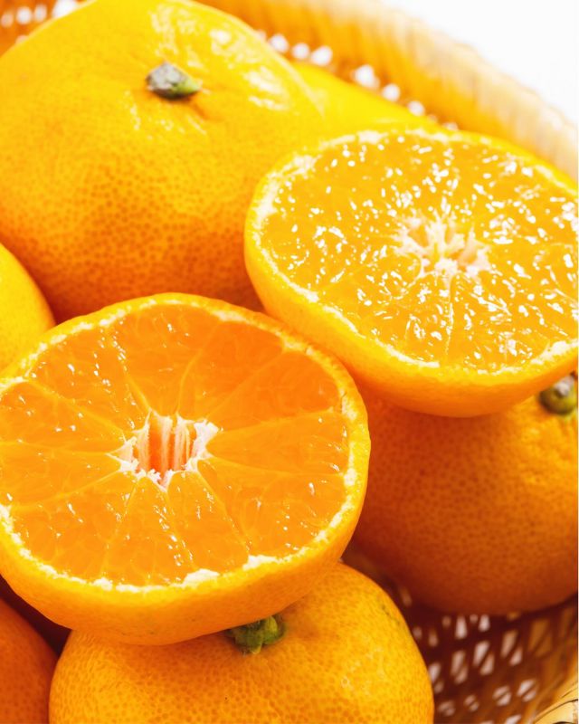 \カネイ農園さんの三ヶ日みかんゆら早生販売中🍊📣/

みなさん、こんにちは😊
朝晩冷え込む季節になってまいりましたがいかがお過ごしでしょうか？🍂

長坂養蜂場では現在「カネイ農園さんの三ヶ日みかんゆら早生」を販売中です🍊
長坂養蜂場では毎年たくさんの種類のみかんを販売しておりますが、ゆら早生はその中でも一番早くお召し上がりいただける極早生みかんです😋

大きさは小ぶりですが、その中にぎゅっと甘さが詰まっています🥰
さわやかな酸味と甘みをどちらも楽しめる三ヶ日みかんです♪

現在大変ご好評をいただいており、残数に限りがございますので、ご希望の方は是非お早めにご注文くださいませ💨

今日もぬくもりある素敵な一日になりますように😌
BEE HAPPY💫

- - - - - - - - - - - - - - - - - - - - -

🏡 長坂養蜂場 三ヶ日本店 @nagasaka_apiary
📍 静岡県浜松市浜名三ヶ日町下尾奈97-1
🈺 午前9：30～午後5：00
📆 毎週水曜・第2火曜定休
🅿️ 無料80台分あり

- - - - - - - - - - - - - - - - - - - - -
.
.
#長坂養蜂場 #養蜂場 #静岡 #浜松 #はままつ #三ヶ日 #浜名湖 #奥浜名湖駅 #はちみつ専門店 #はちみつ #蜂蜜 #ハチミツ #ミツバチ #浜松旅行 #浜松グルメ #浜松スイーツ #浜松土産 #浜松みやげ #浜松お土産 #健康食 #はちみつのある暮らし #apiary #honeyshop #honey #創業感謝祭 #カネイ農園さんの三ヶ日みかんゆら早生