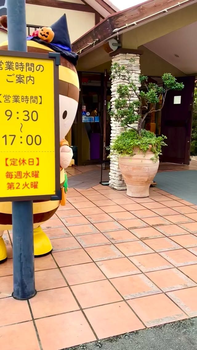 \ 👻Happy Halloween🎃 /
ただいま長坂養蜂場三ヶ日本店では、土日限定でぶんぶんがハロウィンの仮装をしてみなさまをお出迎えしております✨️
魔女の帽子🪄︎︎に、かぼちゃのポンチョとかぼちゃのポシェット🎃♡
いつもと違う装いに、ぶんぶんもうれしそうです🎶
期間限定で販売している「はちみつブルーベリーヨーグルトソフト」と、平日限定の「はちみつとブルーベリーのハロウィンパフェ」も、ぶんぶんが紹介してくれましたよ🫐🥰
ハロウィン仮装のぶんぶんに会えるのは今週末10/25(土)と10/26(日)で最後!🥲
ぜひ遊びにきてくださいね〜♪
今日もぬくもりある素敵な一日になりますように😌
BEE HAPPY💫
- - - - - - - - - - - - - - - - - - - - -
🏡 長坂養蜂場 三ヶ日本店 @nagasaka_apiary
📍 静岡県浜松市浜名三ヶ日町下尾奈97-1
🈺 午前9:30~午後5:00
📆 毎週水曜・第2火曜定休
🅿️ 無料80台分あり
- - - - - - - - - - - - - - - - - - - - -
.
.
#長坂養蜂場 #養蜂場 #静岡 #浜松 #はままつ #三ヶ日 #浜名湖 #奥浜名湖駅 #はちみつ専門店 #はちみつ #蜂蜜 #ハチミツ #ミツバチ #浜松旅行 #浜松グルメ #浜松スイーツ #浜松土産 #浜松みやげ #浜松お土産 #健康食 #はちみつのある暮らし #apiary #honeyshop #honey #創業感謝祭 #はちみつとブルーベリーのハロウィンパフェ #はちみつブルーベリーヨーグルトソフト #ぶんぶん #ハロウィン #halloween