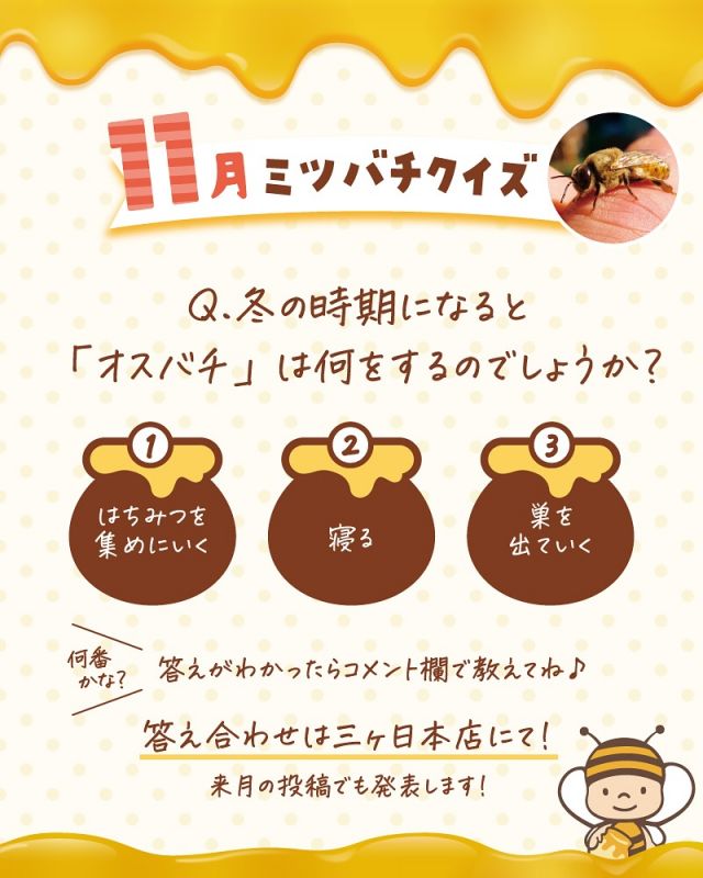 \【明日誰かに話したくなる！】11月のミツバチクイズ🐝👩‍🎓/

みなさま、こんにちは😊
三ヶ日本店では「ミツバチクイズ」というものをおこなっております✨

月ごとに内容が変わり、ミツバチやはちみつに関するクイズに毎日たくさんのお子さんが挑戦してくれています♪
スタンプラリー形式でスタンプを集めて「ミツバチ博士」を目指します🎓💛

クイズ開始以来、毎月必ず挑戦してくれている子もいます👧
11月のミツバチクイズを掲載しましたので、是非正解だと思う番号をコメント欄で教えてくださいね〜♪
（12月のミツバチクイズ投稿時に11月の答えも掲載いたします！！）

また、10月のミツバチクイズの答えも掲載しておりますので、こちらもご覧ください💁‍♀️

明日誰かに話したくなる！そんなミツバチやはちみつに関する豆知識を是非身につけていってくださいね～⭐️

今日もぬくもりある素敵な一日になりますように😌
BEE HAPPY💫

- - - - - - - - - - - - - - - - - - - - -

🏡 長坂養蜂場 三ヶ日本店 @nagasaka_apiary
📍 静岡県浜松市浜名三ヶ日町下尾奈97-1
🈺 午前9：30～午後5：00
📆 毎週水曜・第2火曜定休
🅿️ 無料80台分あり

- - - - - - - - - - - - - - - - - - - - -
.
.
#長坂養蜂場 #養蜂場 #静岡 #浜松 #はままつ #三ヶ日 #浜名湖 #奥浜名湖駅 #はちみつ専門店 #はちみつ #蜂蜜 #ハチミツ #ミツバチ #浜松旅行 #浜松グルメ #浜松スイーツ #浜松土産 #浜松みやげ #浜松お土産 #健康食 #はちみつのある暮らし #apiary #honeyshop #honey #ミツバチクイズ