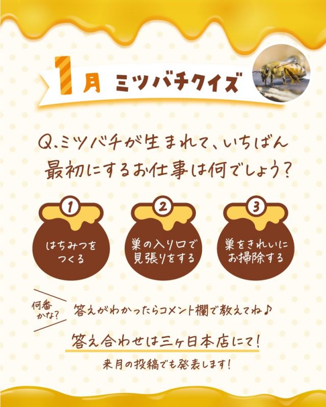 \【明日誰かに話したくなる！】1月のミツバチクイズ🐝/

みなさま、こんにちは😊
三ヶ日本店では「ミツバチクイズ」というものをおこなっております🎓

月ごとに内容が変わり、ミツバチやはちみつに関するクイズに毎日たくさんのお子さんが挑戦してくれています♪
スタンプラリー形式でスタンプを集めて「ミツバチ博士」を目指します👩‍🎓

クイズ開始以来、毎月必ず挑戦してくれている子もいます👧
1月のミツバチクイズを掲載しましたので、是非正解だと思う番号をコメント欄で教えてくださいね〜💕
（2月のミツバチクイズ投稿時に1月の答えも掲載いたします！！）

また、12月のミツバチクイズの答えも掲載しておりますので、こちらもご覧ください！
明日誰かに話したくなる！そんなミツバチやはちみつに関する豆知識を是非身につけていってくださいね～🥰

今日もぬくもりある素敵な一日になりますように😌
BEE HAPPY💫

- - - - - - - - - - - - - - - - - - - - -

🏡 長坂養蜂場 三ヶ日本店 @nagasaka_apiary
📍 静岡県浜松市浜名三ヶ日町下尾奈97-1
🈺 午前9：30～午後5：00
📆 毎週水曜・第2火曜定休
🅿️ 無料80台分あり

- - - - - - - - - - - - - - - - - - - - -
.
.
#長坂養蜂場 #養蜂場 #静岡 #浜松 #ミツバチクイズ