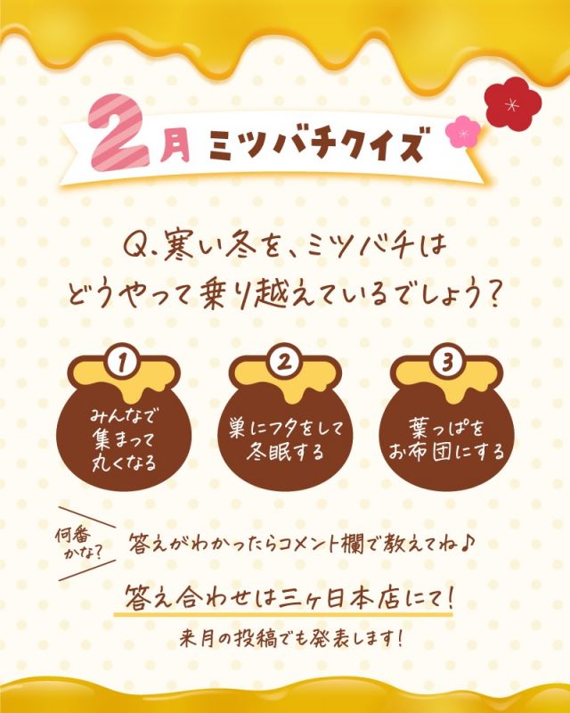\【明日誰かに話したくなる！】2月のミツバチクイズ🐝/

みなさま、こんにちは😊
三ヶ日本店では「ミツバチクイズ」というものをおこなっております🎓

月ごとに内容が変わり、ミツバチやはちみつに関するクイズに毎日たくさんのお子さんが挑戦してくれています♪
スタンプラリー形式でスタンプを集めて「ミツバチ博士」を目指します👩‍🎓

クイズ開始以来、毎月必ず挑戦してくれている子もいます👧
2月のミツバチクイズを掲載しましたので、是非正解だと思う番号をコメント欄で教えてくださいね〜💕
（3月のミツバチクイズ投稿時に2月の答えも掲載いたします！！）

また、1月のミツバチクイズの答えも掲載しておりますので、こちらもご覧ください！
明日誰かに話したくなる！そんなミツバチやはちみつに関する豆知識を是非身につけていってくださいね～🥰

今日もぬくもりある素敵な一日になりますように✨
BEE HAPPY💫

- - - - - - - - - - - - - - - - - - - - -

🏡 長坂養蜂場 三ヶ日本店 @nagasaka_apiary
📍 静岡県浜松市浜名三ヶ日町下尾奈97-1
🈺 午前9：30～午後5：00
📆 毎週水曜・第2火曜定休
🅿️ 無料80台分あり

- - - - - - - - - - - - - - - - - - - - -
.
.
#長坂養蜂場 #はちみつ専門店 #養蜂場 #ミツバチクイズ #豆知識