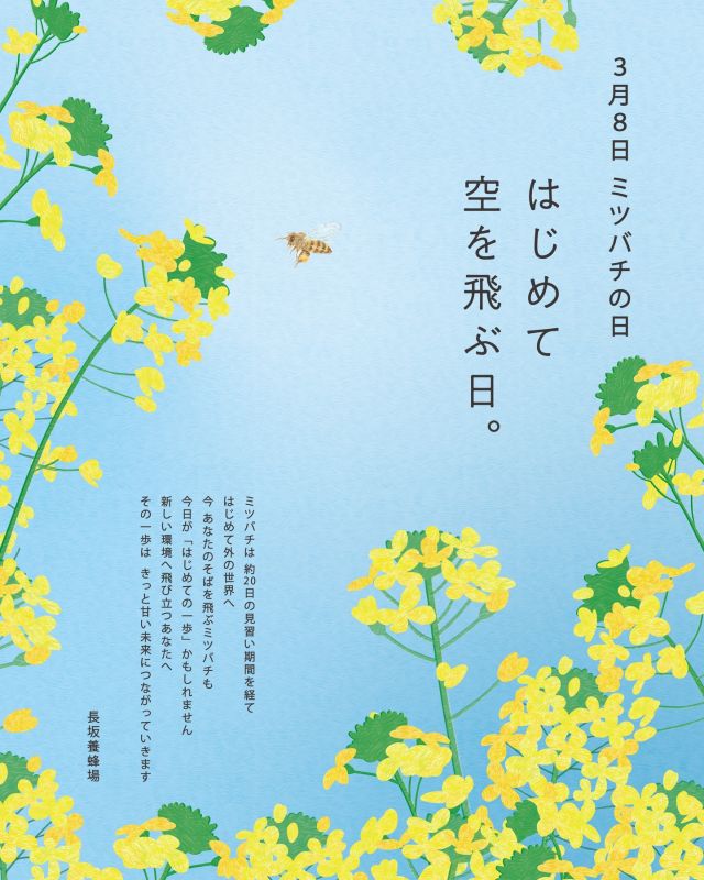 本日⁡、3月8日は｢ミツバチの日｣🐝
⁡
ミツバチは、生まれて約20日で巣の外へ飛び立ちます。
それまで巣の中で働いてきた彼女たちにとって、外の世界ははじめての挑戦。

もしかすると、あなたのそばを飛んでいるミツバチも、
今日が“はじめての一歩”の日かもしれません。

新しい環境へ飛び立つあなたへ。
その一歩は、きっと甘い未来につながっています。

⁡
今日もぬくもりある一日になりますように。
⁡
- - - - - - - - - - - - - - - - - - - - -

🏡 長坂養蜂場 三ヶ日本店 @nagasaka_apiary
📍 静岡県浜松市浜名三ヶ日町下尾奈97-1
🈺 午前9：30～午後5：00
📆 毎週水曜・第2火曜定休
🅿️ 無料80台分あり

▶︎プロフィールのリンクからお買いものできます♪→@nagasaka_apiary

- - - - - - - - - - - - - - - - - - - - -
.
.
#長坂養蜂場 #はちみつ専門店 #ミツバチの日 #ミツバチ #honeybee