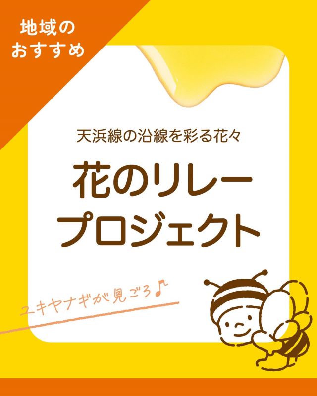 ＼花のリレープロジェクト！天浜線沿いに「ユキヤナギ」が咲いています♪／

桜の開花宣言もニュースになり、寒い冬から春の訪れを感じるようになりましたね🌸

皆さま「花のリレー・プロジェクト」をご存知でしょうか？
天竜浜名湖鉄道(天浜線)の沿線を花で彩り、地域の活性化を図る取り組みです。
私たち、長坂養蜂場もこのプロジェクトに参画しております！

このプロジェクトでは、沿線沿い20ヶ所を植栽地として選定し、季節ごとに咲く花木を育てて景観を作り出しています！
植栽地の管理には「アダプト・プログラム」を導入して愛情を持って花々を育ててくださっています☺️

「アダプト・プログラム」とは全国の地域で実施されている自主的な活動で、特定の地域を受け持ち「末長く面倒を見ていく」仕組みです。
素敵なプロジェクトですね。地域全体で綺麗に手入れされた花々を見るとホッとして、とても気持ちがいいですね🤍
活動を続けてくださっている方々に感謝です！

長坂養蜂場の店舗前には「ユキヤナギ」という花が咲いております♪
白くて小さくかわいい花は今が見頃です！
近くにお立ち寄りの際はぜひ見ていただけたらうれしいです！✨

それでは、今日もぬくもりある素敵な一日になりますように😌
BEE HAPPY💫

———————

🏡長坂養蜂場 三ヶ日本店 @nagasaka_apiary
📍静岡県浜松市浜名区三ヶ日町下尾奈97-1
🈺午前9:30〜午後5:00
📅毎週水曜・第2火曜定休
🅿️無料80台分あり

▶︎プロフィールのリンクからお買い求めできます♪→@nagasaka_apiary

———————

#長坂養蜂場 #養蜂場 #花のリレープロジェクト #天浜線 #ユキヤナギ