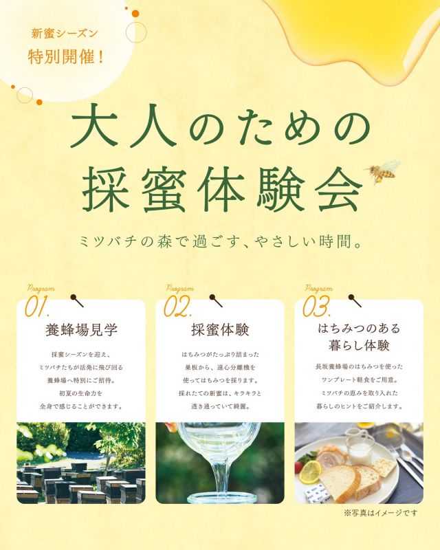 \新蜜シーズン特別開催！/
🍯大人のための採蜜体験会🐝

みなさま、こんにちは♪
本日は特別イベントのご案内です📢

5月24日(日)、音助の里キャンプ場にて｢大人のための採蜜体験会｣を開催いたします！✨️
ミツバチの恵みと自然のめぐりを感じ、はちみつのある暮らしのヒントをご紹介します🍯
長坂養蜂場のスタッフと、ミツバチの暮らしを覗いてみませんか？

採蜜体験や採れたてはちみつの試食、はちみつを使ったワンプレート軽食など、五感をたっぷり使ってミツバチの恵みを体験することができます🐝
やさしい時間をお過ごしください🌳

～イベント詳細～
【日　時】2026年5月24日(日)
　　　①8:45〜11:00
　　　②12:00〜14:15
　　　③15:15〜17:30
　　　※各回定員6組(12名)・要予約
【会　場】音助の里  キャンプ場
【対　象】18歳以上
【参加費】ペアチケット  10,000円(税込)
　　　　軽食付き/当日現金支払い

\ご参加には事前のお申し込みが必要です/
🟩お申込み・詳細は長坂養蜂場公式LINEから！
【申込締切】5月8日(金)まで

皆さまのご参加をお待ちしております🐝✨

今日もぬくもりある素敵な一日になりますように😌
BEE HAPPY💫

- - - - - - - - - - - - - - - - - - - - -

🏡 長坂養蜂場 三ヶ日本店 @nagasaka_apiary
📍 静岡県浜松市浜名三ヶ日町下尾奈97-1
🈺 午前9：30～午後5：00
📆 毎週水曜・第2火曜定休
🅿️ 無料80台分あり

▶︎プロフィールのリンクからお買いものできます♪→@nagasaka_apiary
- - - - - - - - - - - - - - - - - - - - -
.
.
#長坂養蜂場 #採蜜体験会 #はちみつ専門店 #養蜂場 #はちみつのある暮らし