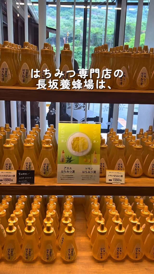 \行ってみたい人は『‪🐝』とコメントしてね💛/

『はちみつ専門店』と聞くと、
はちみつが並んでいるお店を想像するかもしれませんが...

実は、
スイーツやドリンク、かわいい雑貨なども楽しめるお店なんです🍯

はちみつソフトクリームやラテ、
季節ごとに変わるフレーバーもあったりして、
テイクアウトも大人気☺️💛

今回、インフルエンサーの方が、
そんなお店の雰囲気を素敵な動画にしてくださいました😳✨

※一部、現在は完売している商品も含まれています。

お出かけをお考えの際は、
ぜひ思い出していただけたらうれしいです🚗💨

今日もぬくもりある素敵な1日になりますように。
BEE HAPPY💫

- - - - - - - - - - - - - - - - - - - - -

🏡 長坂養蜂場 三ヶ日本店 @nagasaka_apiary
📍 静岡県浜松市浜名区三ヶ日町下尾奈97-1
🈺 午前9：30～午後5：00
📆 毎週水曜・第2火曜定休
🅿️ 無料80台分あり

▶︎プロフィールのリンクからお買いものできます♪
→@nagasaka_apiary

- - - - - - - - - - - - - - - - - - - - -
・
・
#長坂養蜂場 #浜松 #浜松スイーツ #はちみつ #三ヶ日