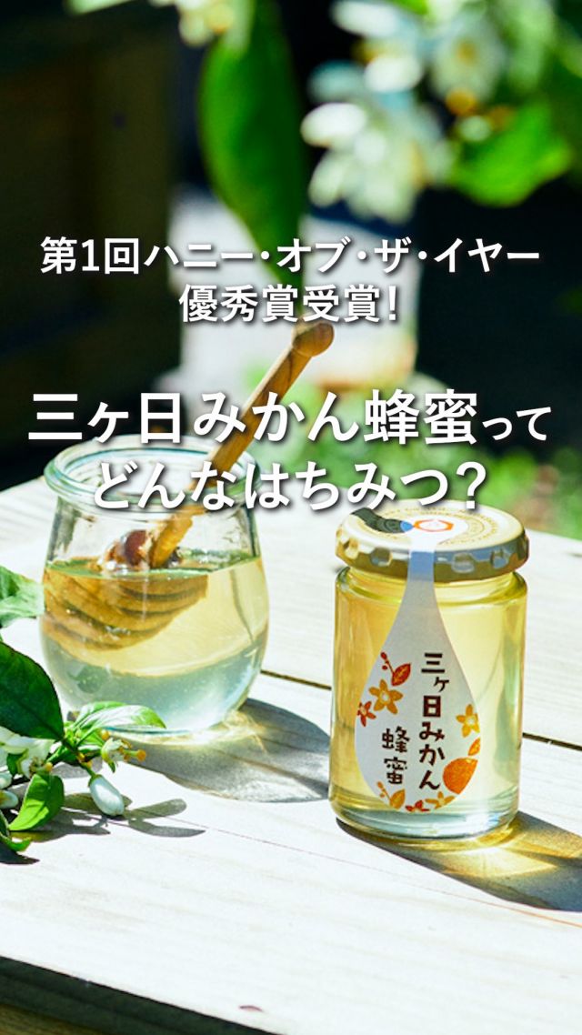 ＼新蜜がもっと楽しくなる🍯シリーズ第4弾！／
▶今年の新蜜、召し上がった方は『🐝』のコメントで教えてください💛

日本はちみつマイスター協会が主催する
「ハニー・オブ・ザ・イヤー」で、
優秀賞をいただいたこともある三ヶ日みかん蜂蜜🍊🍯

自然、ミツバチ、みかん農家の方々、養蜂家...。
どれひとつ欠けても生まれません。

どれだけ準備を重ねても、
みかんの花が咲く2週間の間に、
雨が続いてしまえば採蜜ができないこともあり得ます。

言うなれば、わずか2週間の奇跡。
毎年無事に採れることは、当たり前ではありません😌

私たちも三ヶ日の恵みに感謝しながら、
今年の新蜜をみなさまへお届けしています🐝✨

今日もぬくもりある素敵な1日になりますように。
BEE HAPPY💫

- - - - - - - - - - - - - - - - - - - - -

🏡 長坂養蜂場 三ヶ日本店 @nagasaka_apiary
📍 静岡県浜松市浜名区三ヶ日町下尾奈97-1
🈺 午前9：30～午後5：00
📆 毎週水曜・第2火曜定休
🅿️ 無料80台分あり

▶︎プロフィールのリンクからお買いものできます♪
→@nagasaka_apiary

- - - - - - - - - - - - - - - - - - - - -
・
・
#長坂養蜂場 #浜松 #養蜂 #はちみつ #ミツバチ