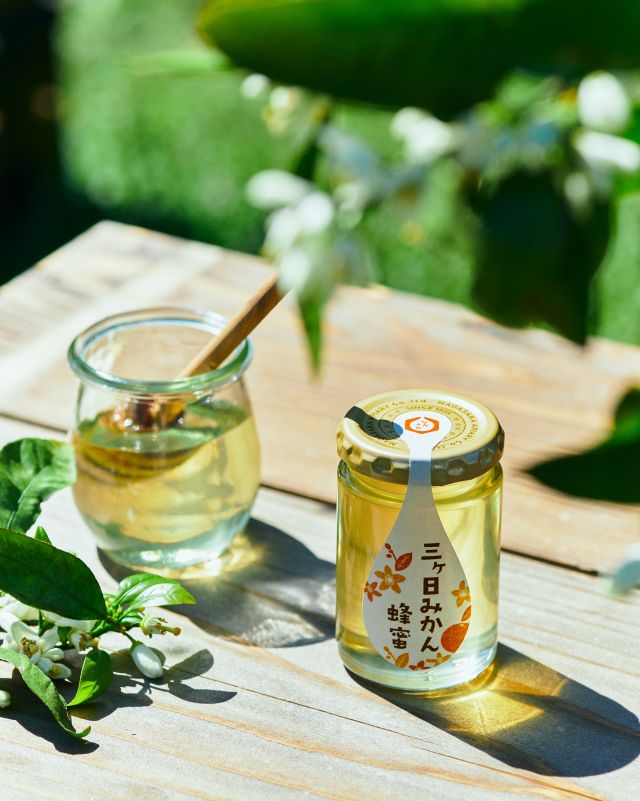 \【新蜜フェア】三ヶ日みかん蜂蜜販売しております🍊🍯/

みなさま、こんにちは😊
新緑がまぶしい季節になりましたね☀️

長坂養蜂場では現在「新蜜フェア」を開催しております✨✨
店頭には新蜜「三ヶ日みかん蜂蜜」が並んでおります🍯

毎年「三ヶ日みかん蜂蜜」の登場を楽しみにされているという方も多いのではないでしょうか？🥰
繊細で優しい甘みと上品でフルーティーな味わいが特徴のはちみつです😋

「三ヶ日みかん蜂蜜」の透き通った美しさに驚かれる方も多いはず！！
店頭に並ぶとキラキラ🌟していて「わ〜！今年もこの季節が来たな〜！」と感動してしまいます🥹

是非みなさまもお楽しみください💕💕
⁡
それでは、今日もぬくもりある素敵な一日になりますように😌
BEE HAPPY💫

- - - - - - - - - - - - - - - - - - - - -

🏡 長坂養蜂場 三ヶ日本店 @nagasaka_apiary
📍 静岡県浜松市浜名三ヶ日町下尾奈97-1
🈺 午前9：30～午後5：00
📆 毎週水曜・第2火曜定休
🅿️ 無料80台分あり

▶︎プロフィールのリンクからお買いものできます♪→@nagasaka_apiary

- - - - - - - - - - - - - - - - - - - - -
.
.
#長坂養蜂場 #養蜂場 #新蜜 #三ヶ日みかん蜂蜜 #新蜜フェア