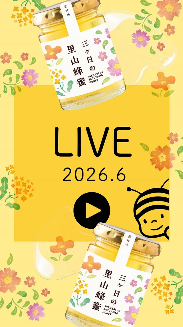 6月インスタライブ🐝