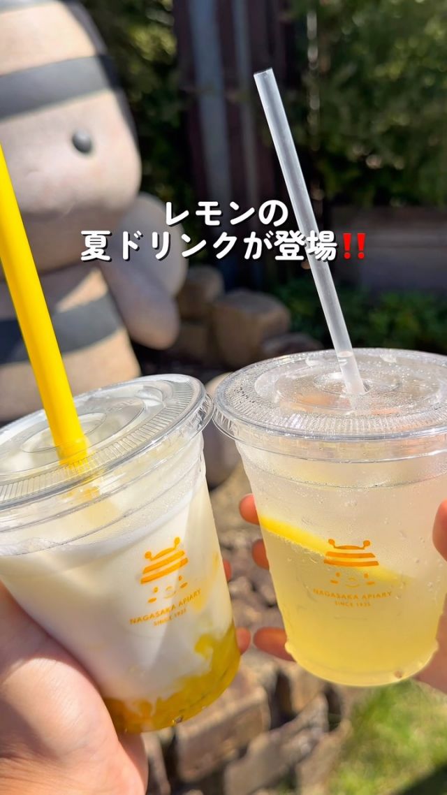 \ 【三ヶ日本店限定】夏の爽やかドリンク販売中🍋🥤/

三ヶ日本店では現在、平日限定で「レモンのハニーヨーグリーノ」｢はちみつ柚レモンスカッシュ｣を販売しております✨️
⁡
大人気ハニーヨーグリーノの夏限定フレーバー🍋と、暑い日にうれしいシュワッと炭酸🫧
みなさんはどちらが好きですか？☺️

レモン×はちみつが相性抜群な爽やかドリンクが楽しめるのは、8/31(月)まで‼️📣
｢まだ飲んでない！｣｢終わる前にもう1回飲みたい！｣というみなさま、駆け込みも大歓迎ですっ🐝³₃
⁡
まだまだ暑い日が続きますが、はちみつパワーで元気に乗り切りましょう🍯

それでは、今日もぬくもりある素敵な1日になりますように。
BEE HAPPY〜💫

- - - - - - - - - - - - - - - - - - - - -

🏡 長坂養蜂場 三ヶ日本店 @nagasaka_apiary
📍 静岡県浜松市浜名区三ヶ日町下尾奈97-1
🈺 午前9：30～午後5：00
📆 毎週水曜・第2火曜定休
🅿️ 無料80台分あり

▶︎プロフィールのリンクからお買いものできます♪→@nagasaka_apiary
- - - - - - - - - - - - - - - - - - - - -
.
.
#長坂養蜂場 #浜松 #レモンのハニーヨーグリーノ #テイクアウトドリンク #はちみつ柚レモンスカッシュ
